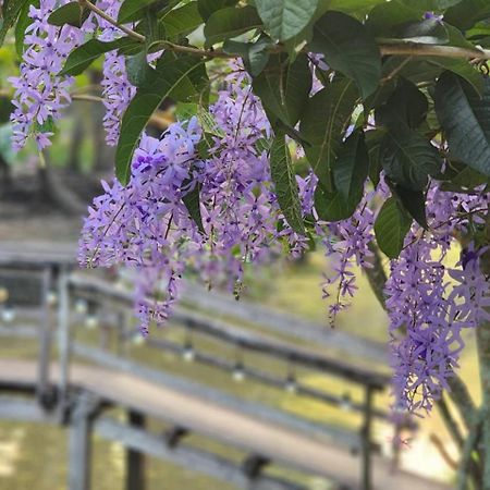 Baan Klong Resort Damnoen Saduak Εξωτερικό φωτογραφία